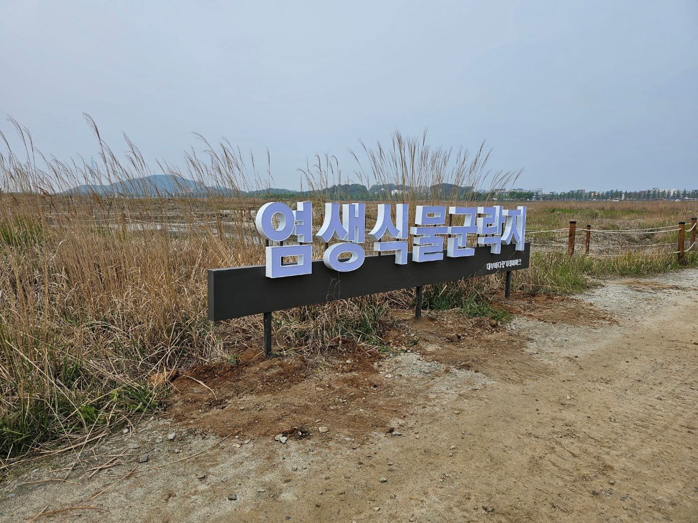 땅에 세우는 지주형 입체문자, 벽면 간판과 비교하면 기초부터 다릅니다 – 설치를 마친 사인을 먼 거리와 사선에서 본 모습
